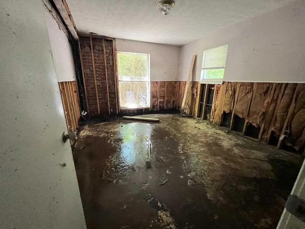 Basement Flood Cleanup in Chula Vista, TX